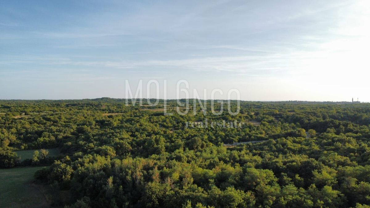 Działka Na sprzedaż - Istarska Vodnjan - foto 3/3