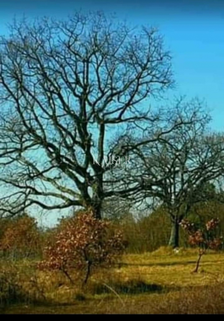 Zemljište Na prodaju - ISTARSKA MARČANA
