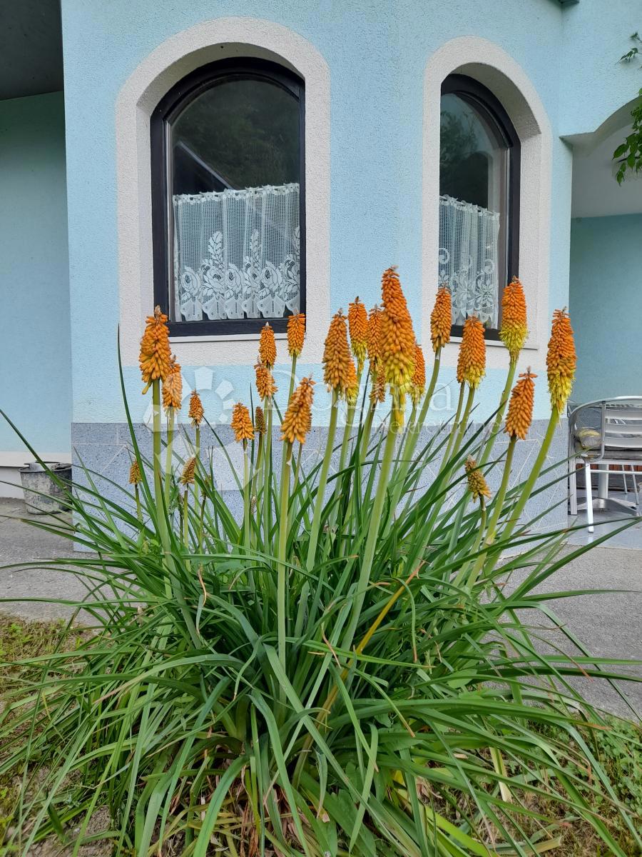 Dům Na prodej - Varaždinska Bednja - foto 5/29