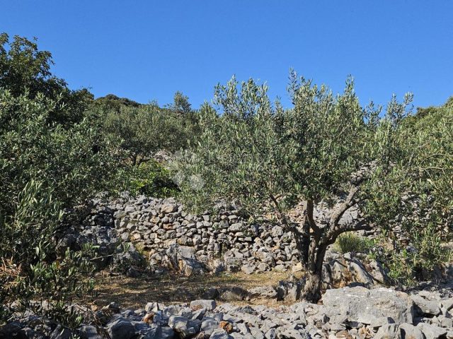 Terreno In vendita - Splitsko-dalmatinska Marina - foto 5/8