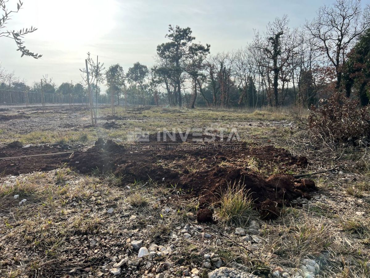 Zemljište Na prodaju - Istarska Barban - foto 1/2