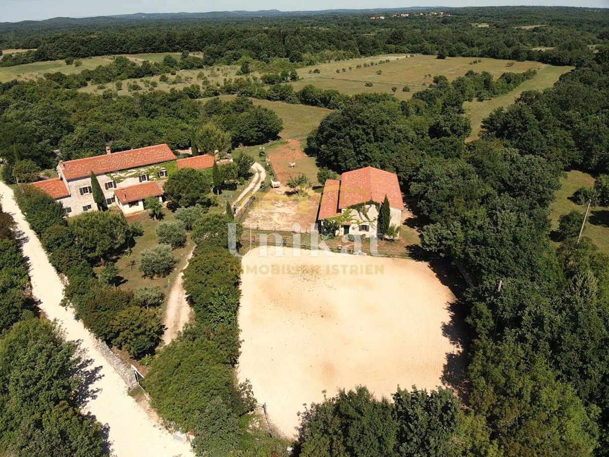 Dom Na sprzedaż - Istarska Svetvinčenat - foto 5/58