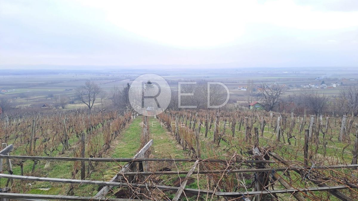 Maison À vendre - Požeško-slavonska Velika - foto 3/15