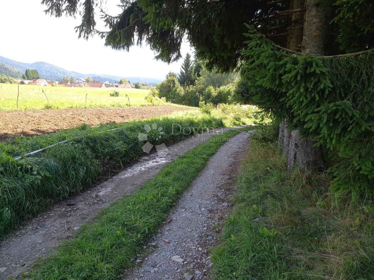Terreno In vendita - Primorsko-goranska Ravna Gora - foto 4/5