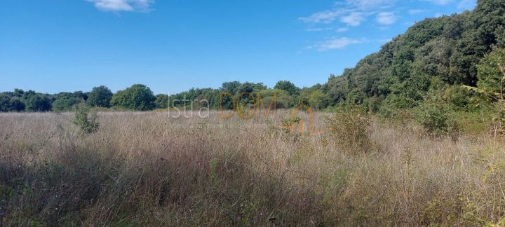 Parcela na predaj 14437 m² – Ližnjan
