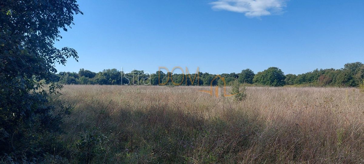 Terreno In vendita - ISTARSKA LIŽNJAN