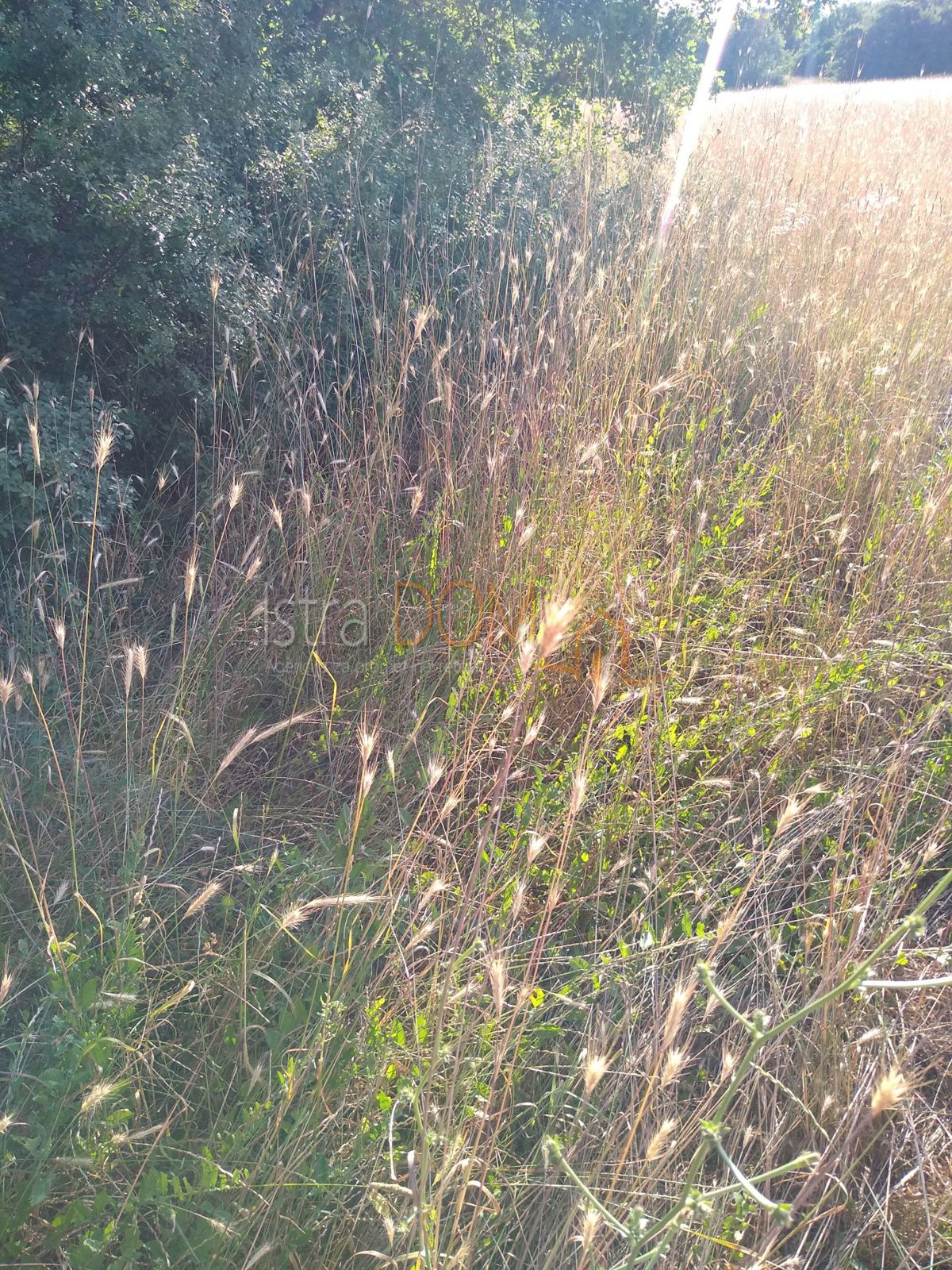 Zemljište Na prodaju - ISTARSKA LIŽNJAN