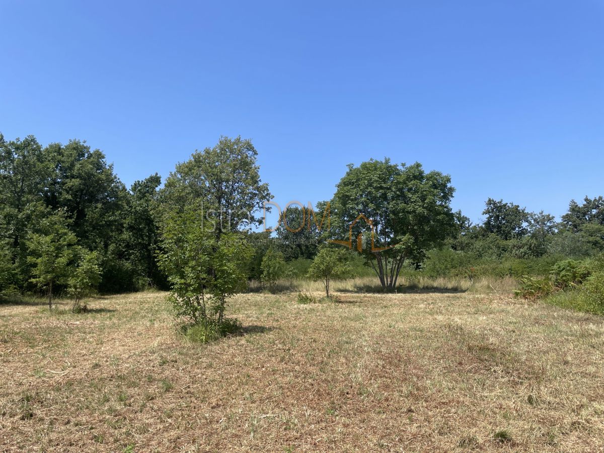 Land For sale - ISTARSKA MARČANA