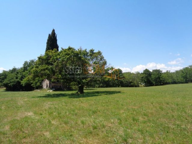 Terrain à vendre 20000 m² – Žminj