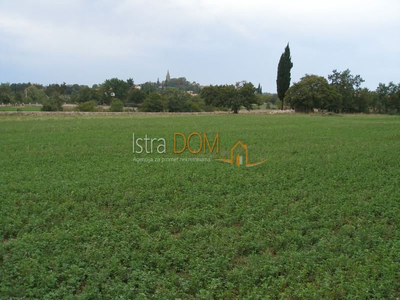Land For sale - ISTARSKA ŽMINJ