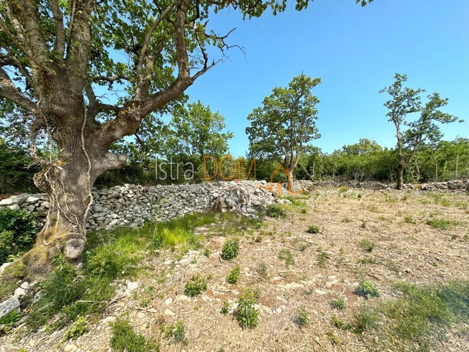 Parcela Na predaj - Istarska Raša - foto 2/7