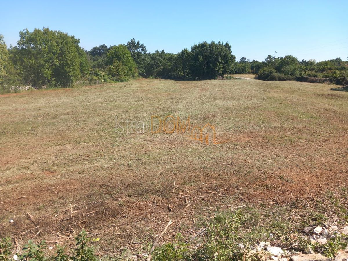 Land For sale - Istarska Svetvinčenat - foto 4/5
