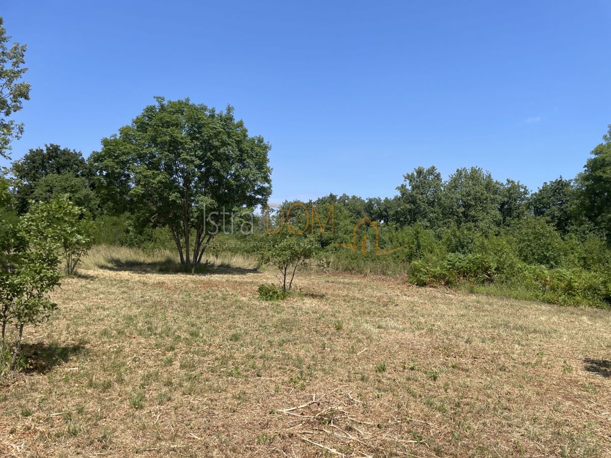 Terreno In vendita - Istarska Marčana - foto 2/8