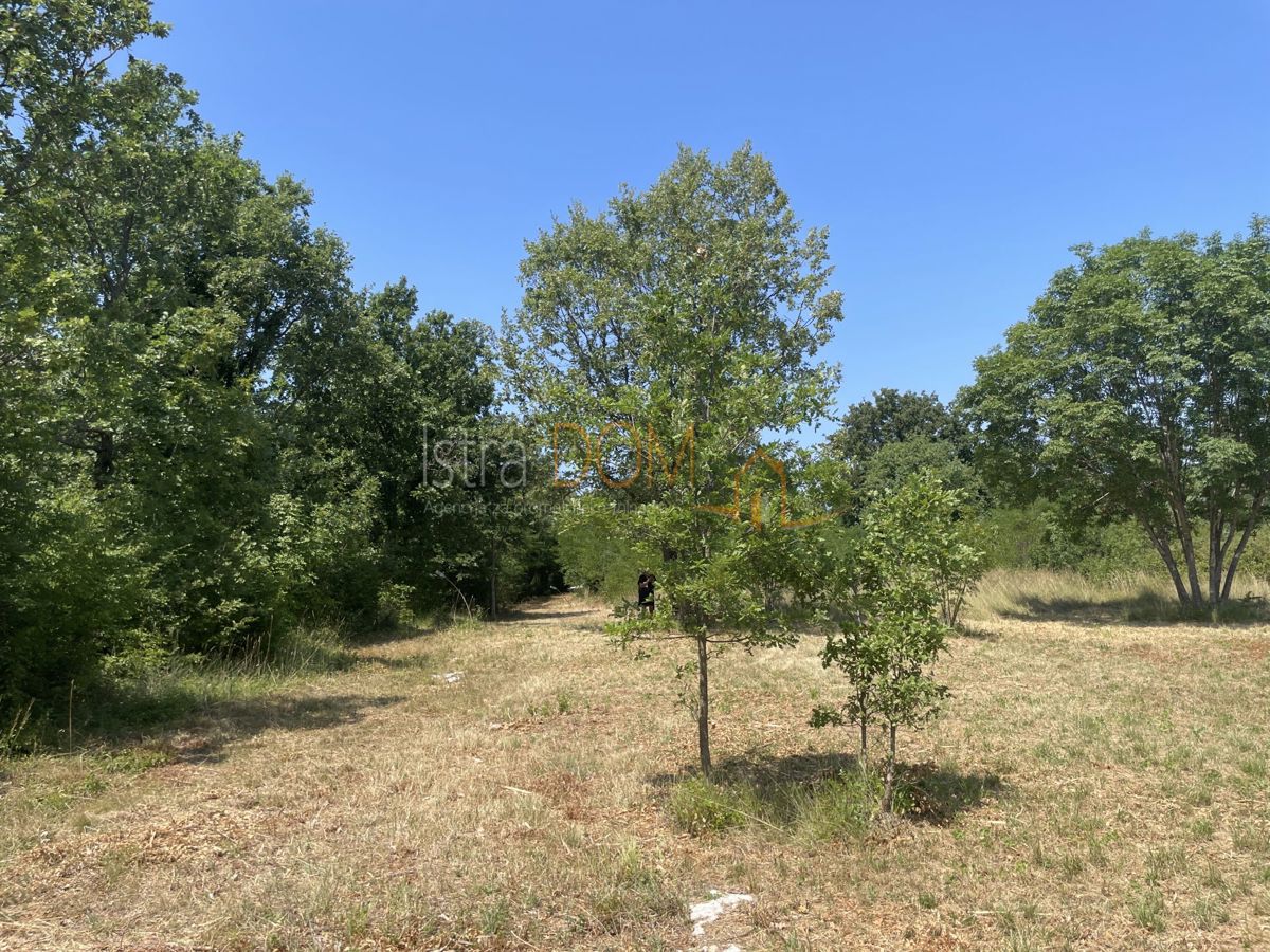 Terreno In vendita - Istarska Marčana - foto 5/8