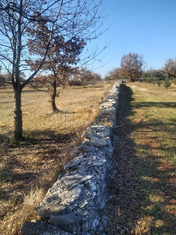 Zemljište Na prodaju - Istarska Svetvinčenat - foto 2/5