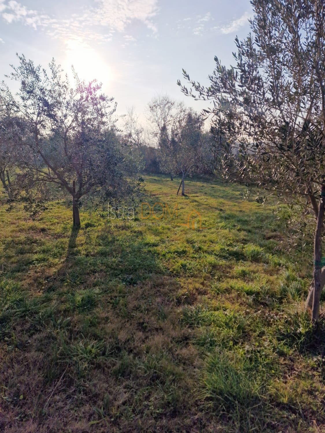 Działka Na sprzedaż - Istarska Ližnjan - foto 3/4