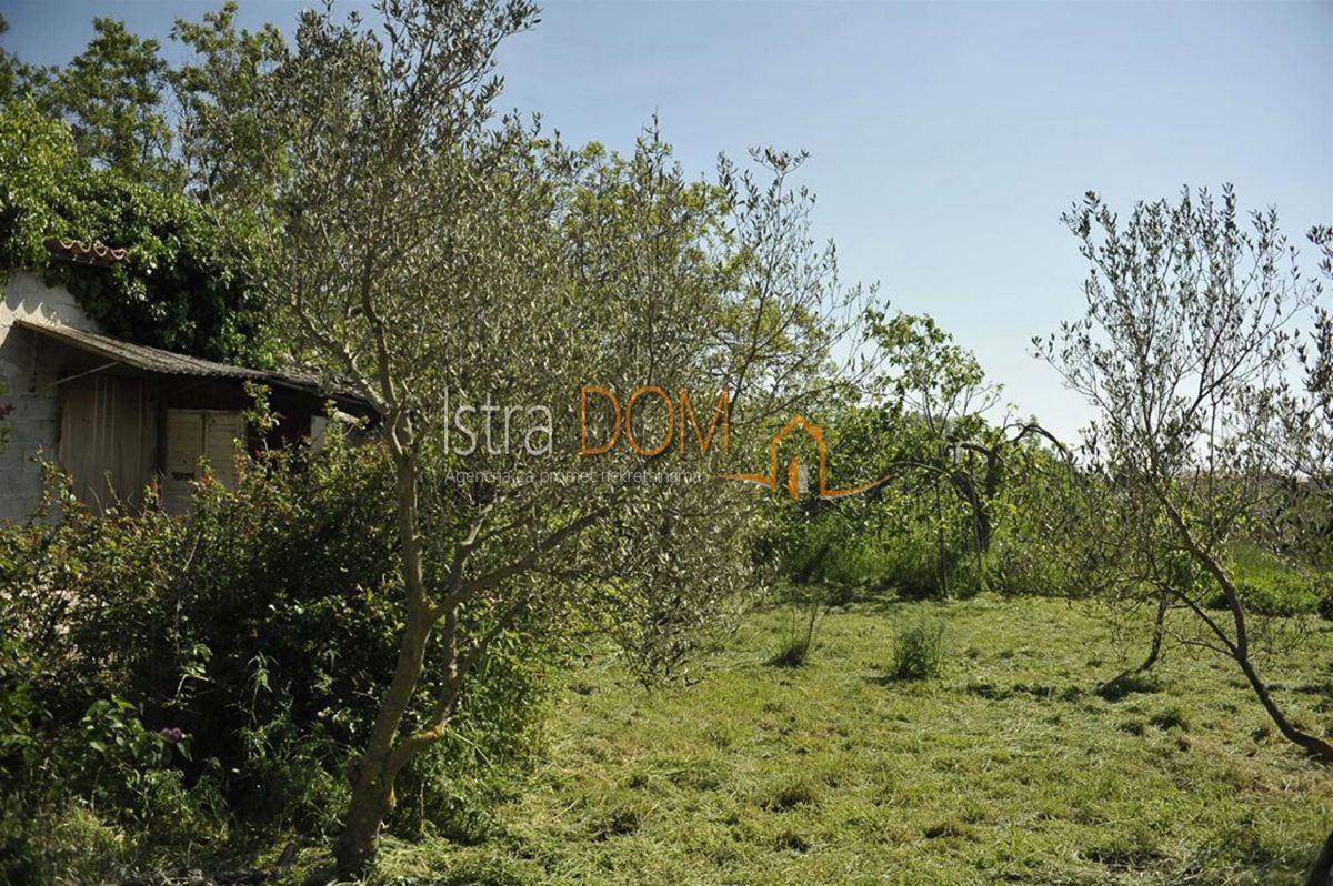 Land For sale - Istarska Marčana - foto 1/3
