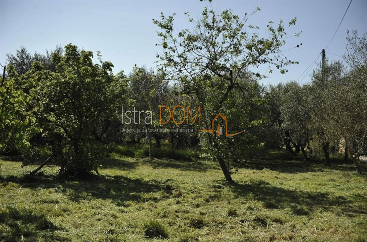 Land For sale - Istarska Marčana - foto 2/3