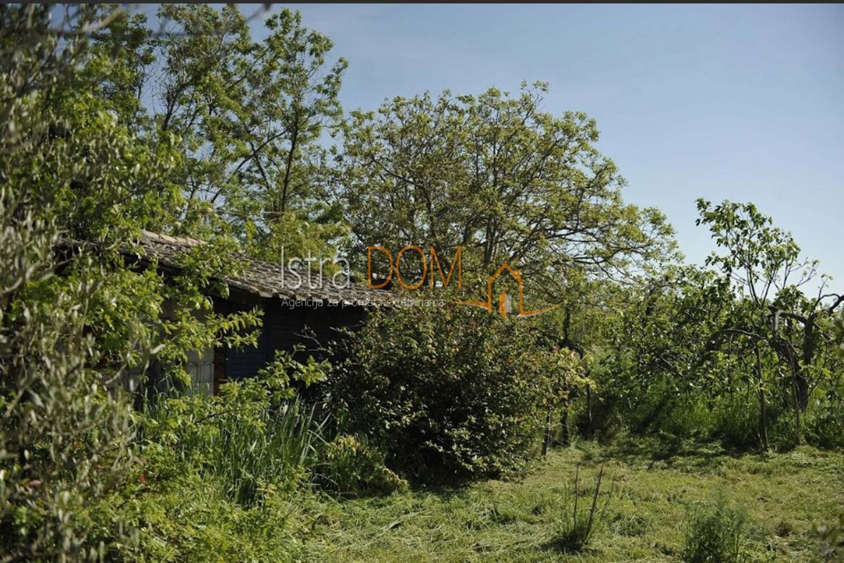Land For sale - Istarska Marčana - foto 3/3