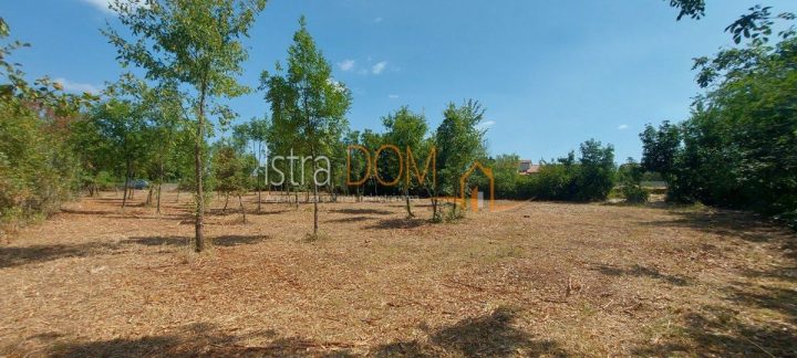 Land For sale - Istarska Svetvinčenat - foto 3/5