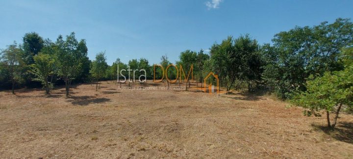 Land For sale - Istarska Svetvinčenat - foto 5/5