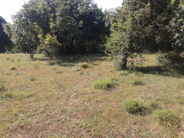 Pozemek na prodej 20000 m² – Bale