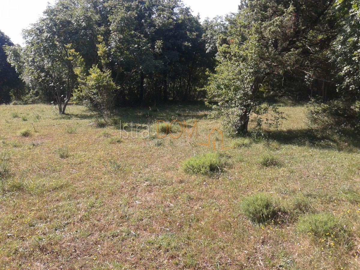 Terrain À vendre - Istarska Bale - foto 1/2