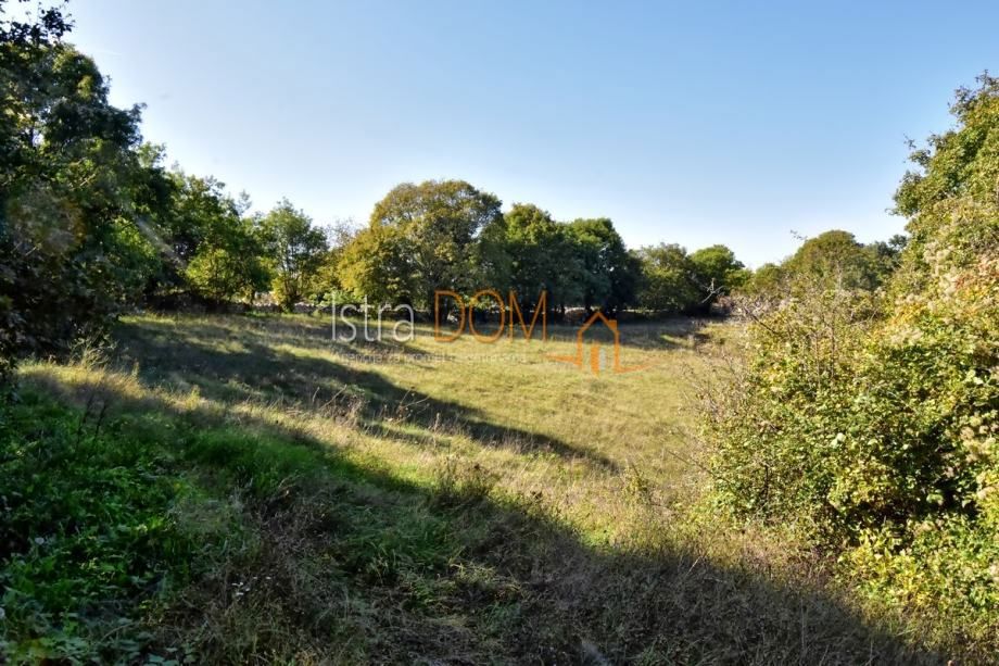 Terreno In vendita - Istarska Svetvinčenat - foto 1/3