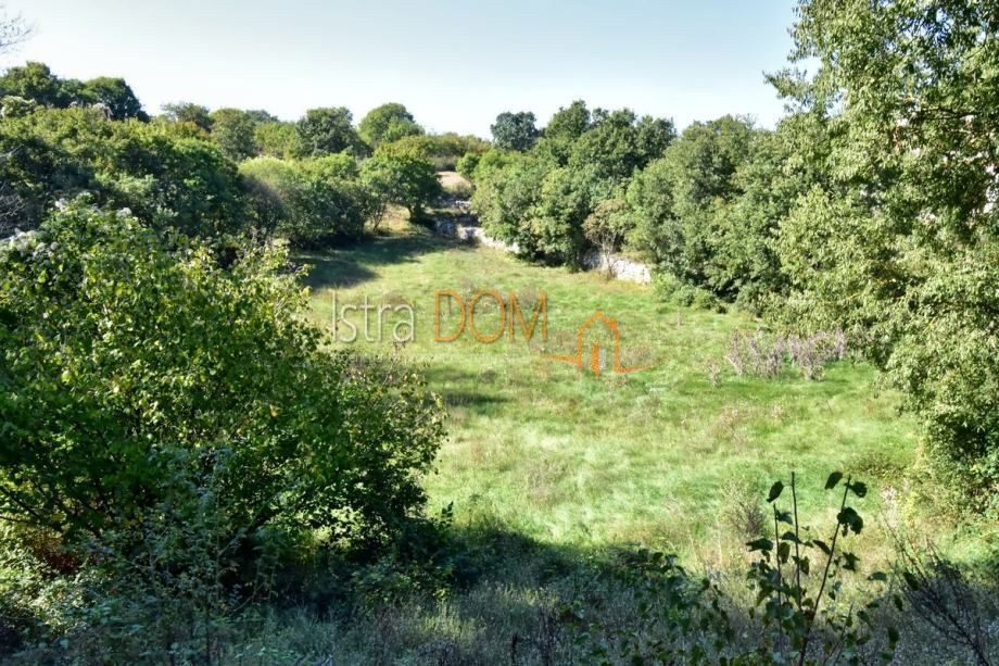 Terreno In vendita - Istarska Svetvinčenat - foto 2/3