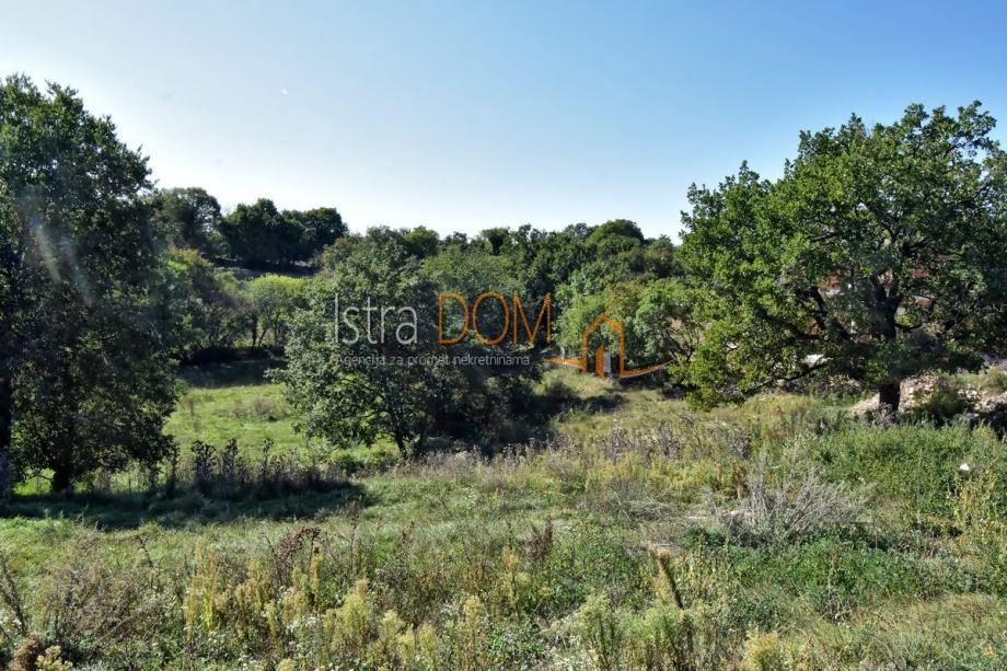 Terreno In vendita - Istarska Svetvinčenat - foto 3/3