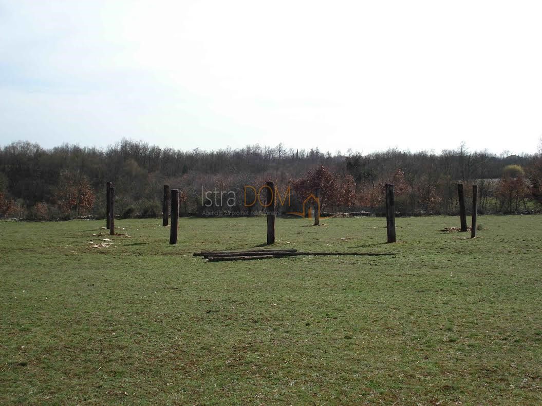 Land For sale - Istarska žminj - foto 1/6