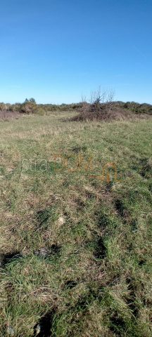 Terreno In vendita - Istarska Ližnjan - foto 5/6