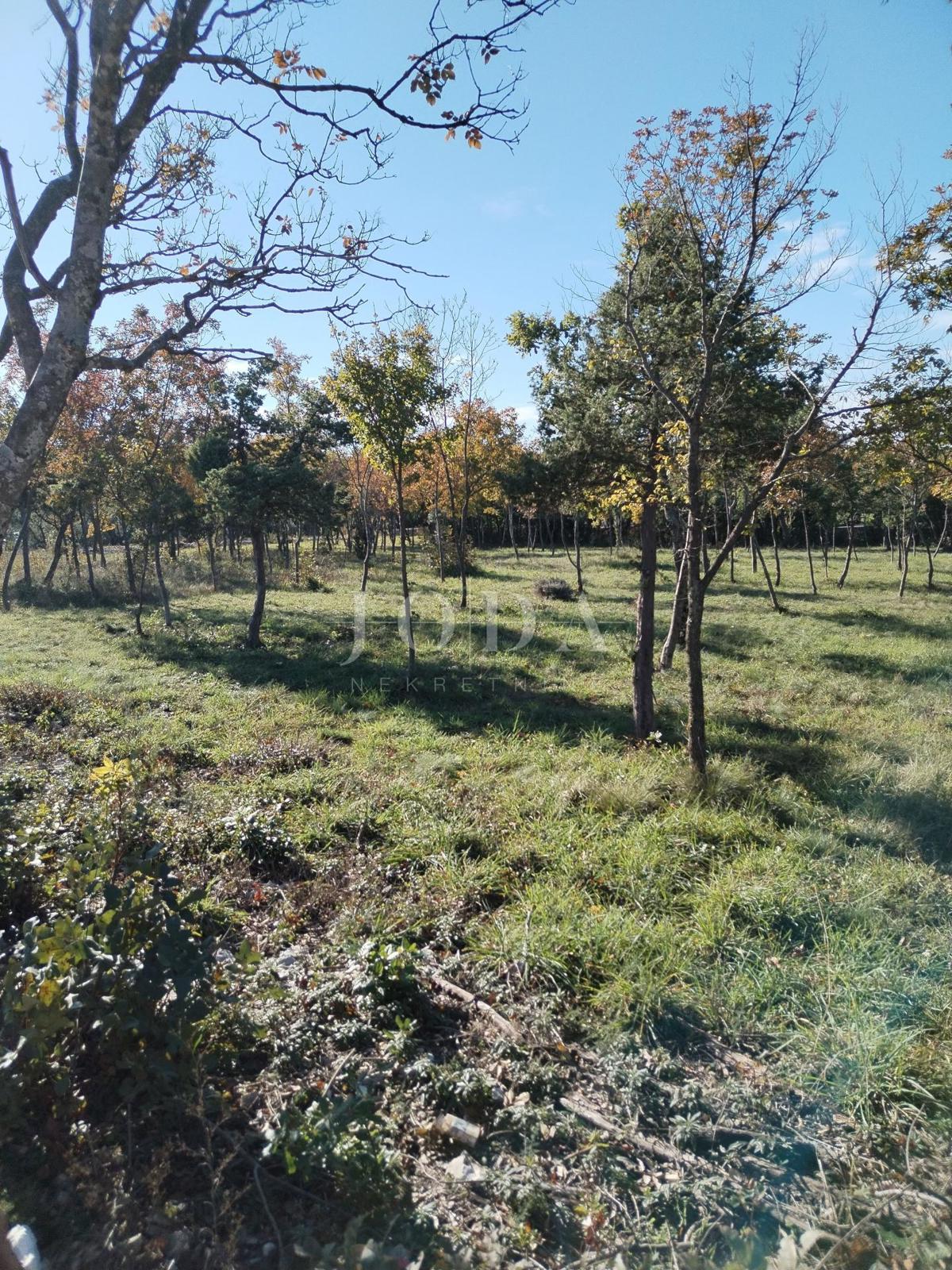 Grundstück Zu verkaufen - Istarska Barban - foto 3/6