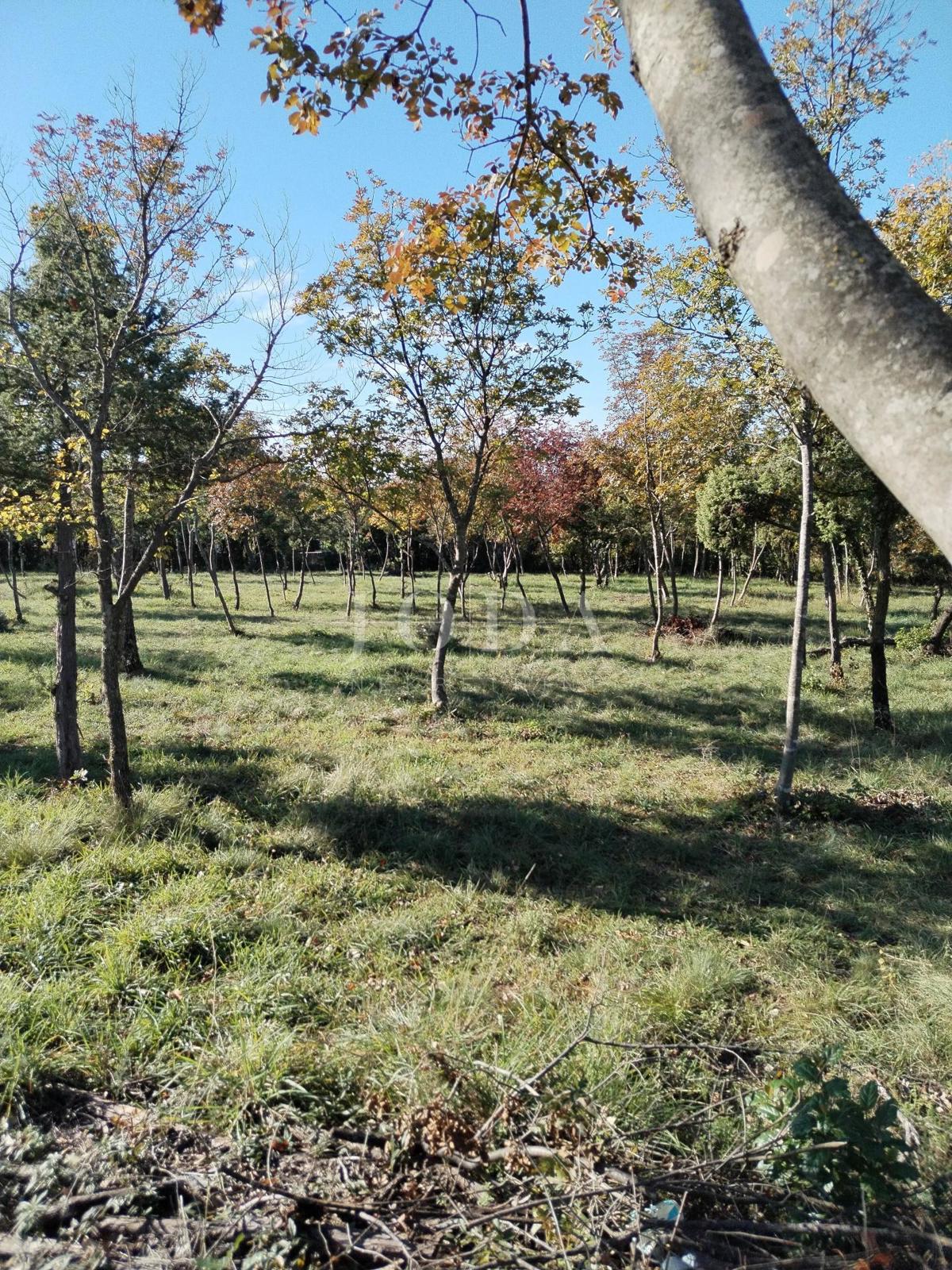 Grundstück Zu verkaufen - Istarska Barban - foto 4/6