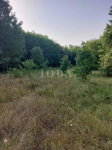Pozemok na predaj 5661 m² – Raša
