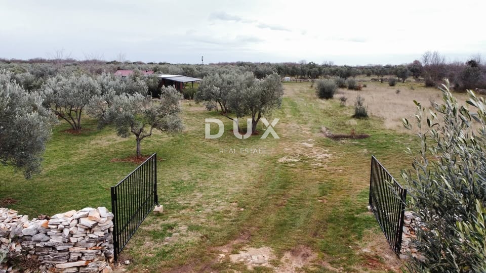 Land For sale - Istarska Vodnjan - foto 4/5