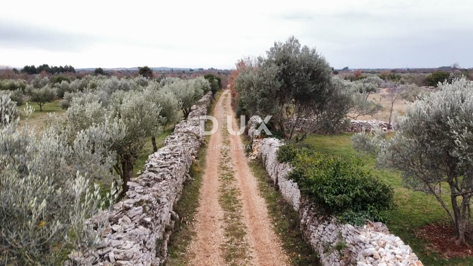 Land For sale - Istarska Vodnjan - foto 5/5
