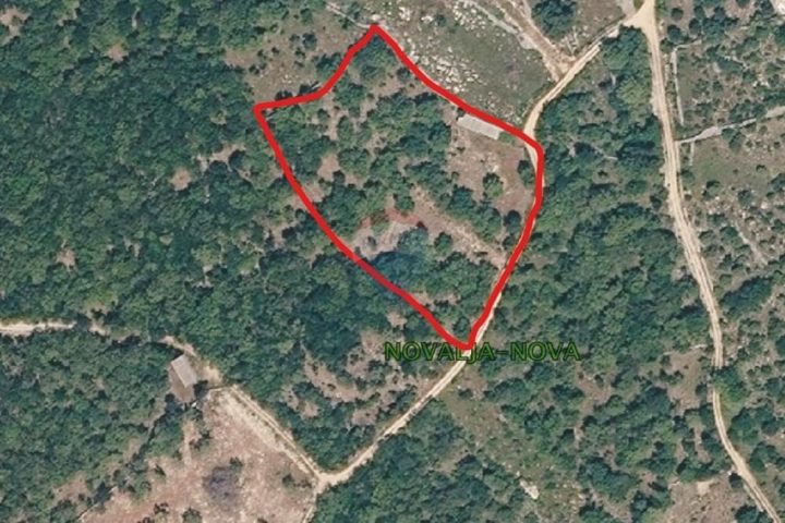 Land for sale 6478 m² – Novalja