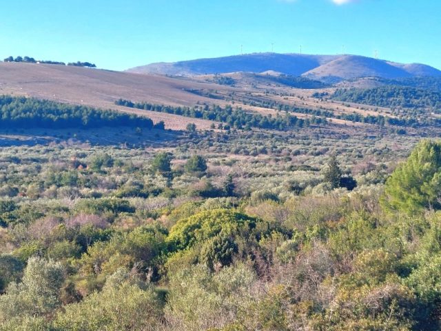Terrain À vendre - šibensko-kninska šibenik - foto 4/10