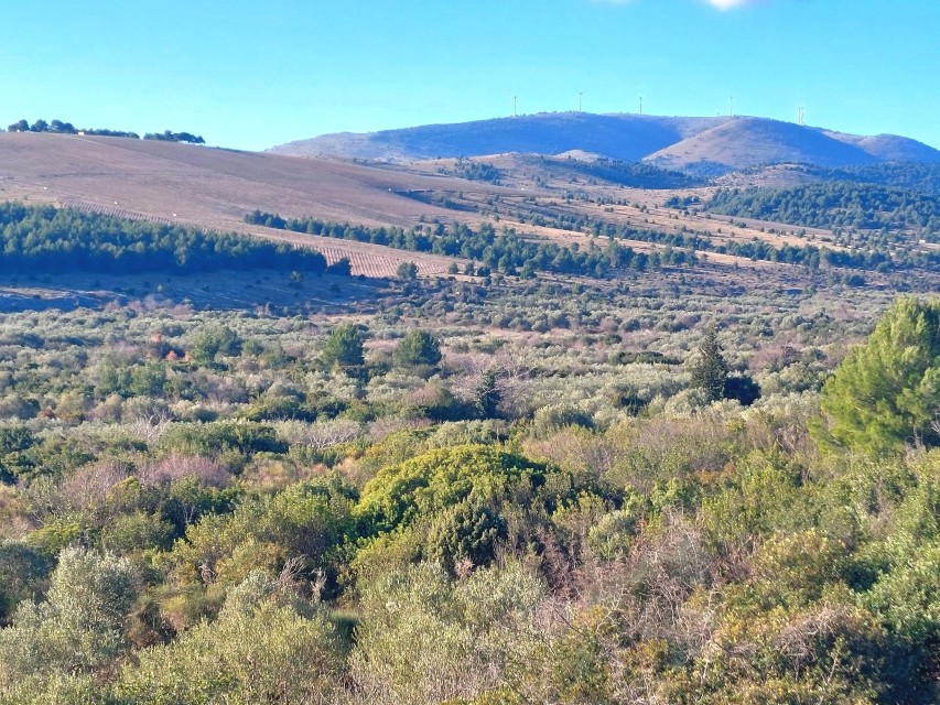 Zemljište Na prodaju - ŠIBENSKO-KNINSKA ŠIBENIK