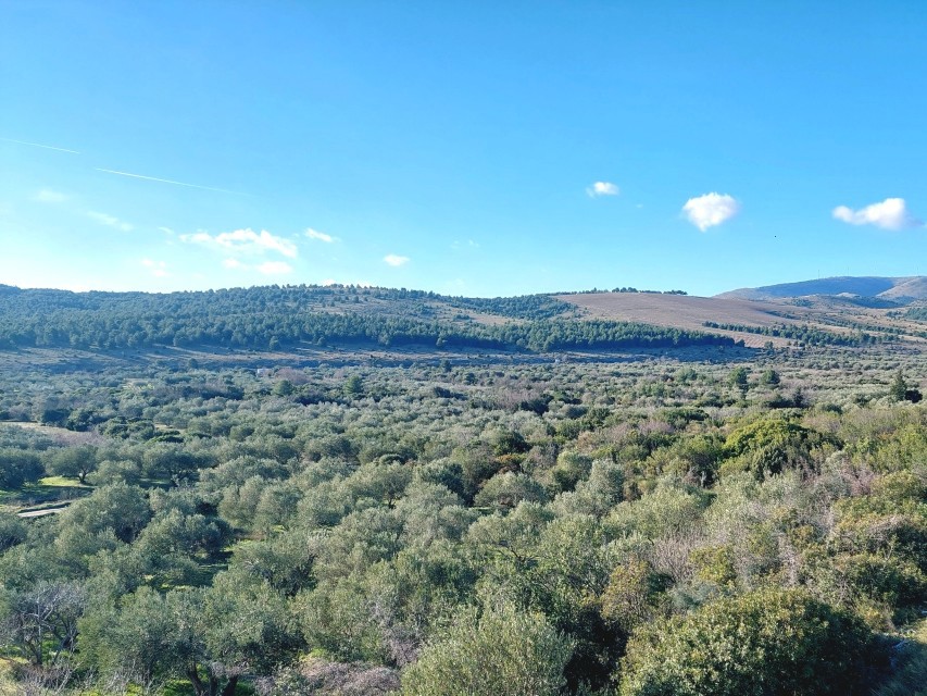 Zemljište Na prodaju - ŠIBENSKO-KNINSKA ŠIBENIK