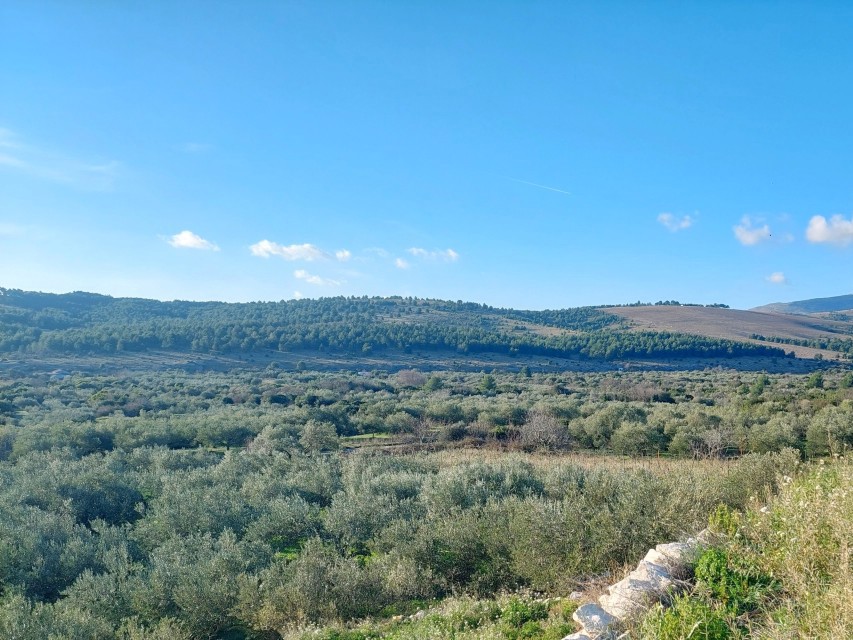 Zemljište Na prodaju - ŠIBENSKO-KNINSKA ŠIBENIK