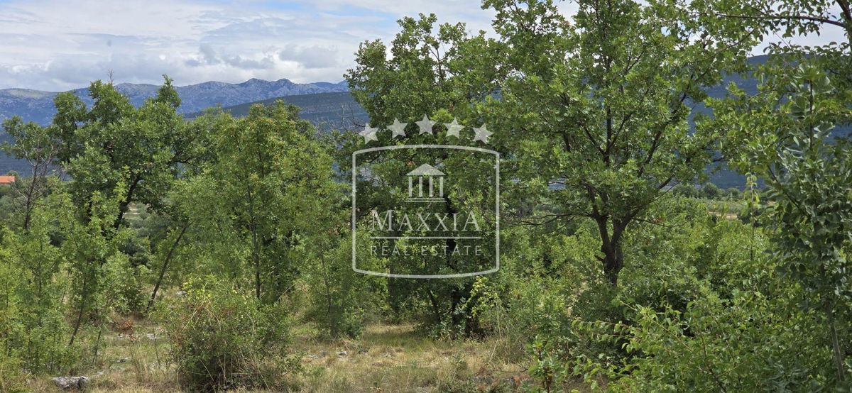 Land For sale - Zadarska Novigrad - foto 1/2