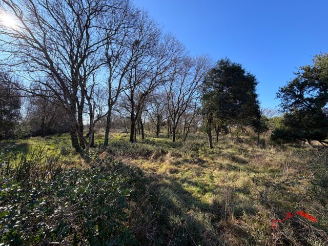 Land For sale - Istarska Pula - foto 3/11