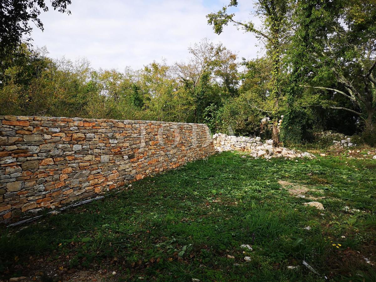 Dom Na predaj - ISTARSKA GROŽNJAN