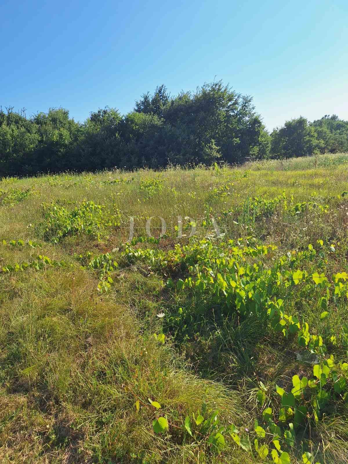 House For sale - ISTARSKA LABIN