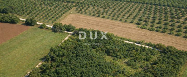 Land For sale - Istarska Marčana - foto 2/2