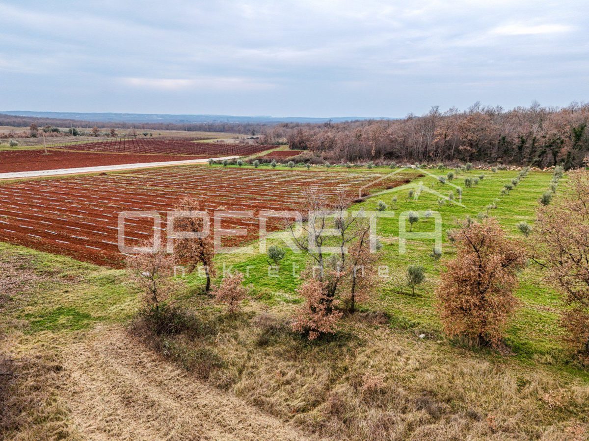 Działka Na sprzedaż - Istarska Poreč - foto 5/5