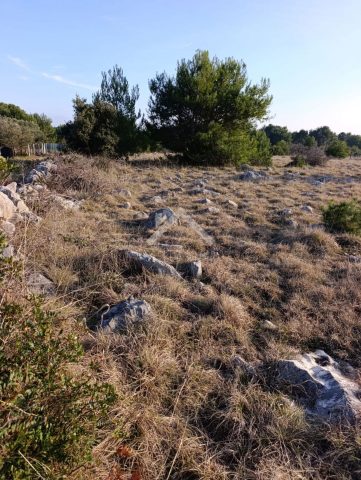 Land for sale 600 m² – Vir