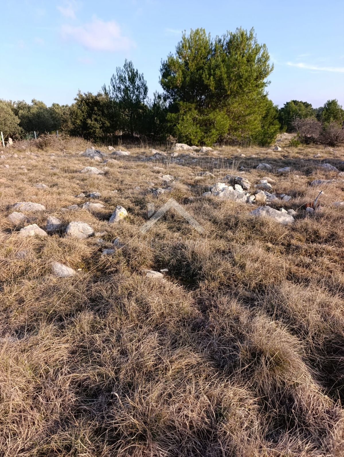Land For sale - Zadarska Vir - foto 2/5